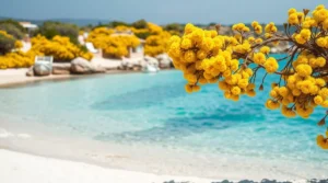 lente op sardinië onvergetelijke ervaringen en tips voor een geslaagde vakantie